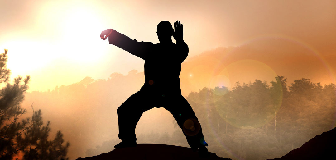 Tai Chi: A Combat Martial Art - Fit Education